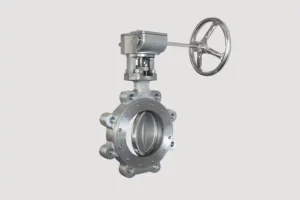 Butterfly Valve